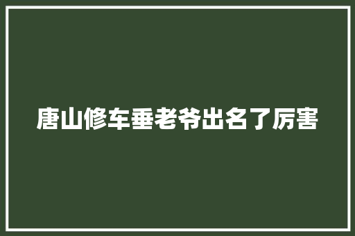 唐山修车垂老爷出名了厉害