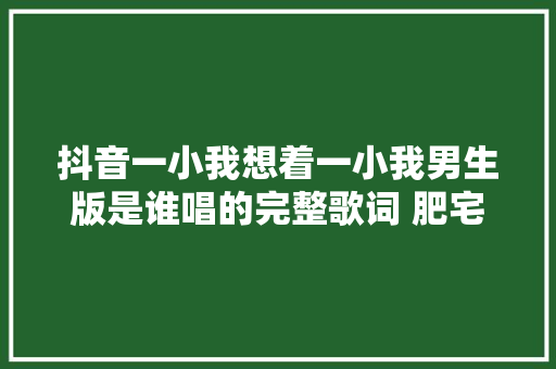 抖音一小我想着一小我男生版是谁唱的完整歌词 肥宅李小我资料