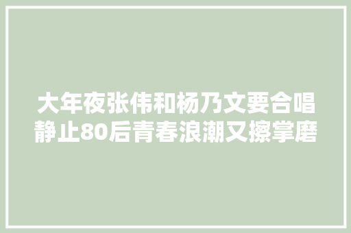 大年夜张伟和杨乃文要合唱静止80后青春浪潮又擦掌磨拳了