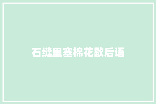 石缝里塞棉花歇后语