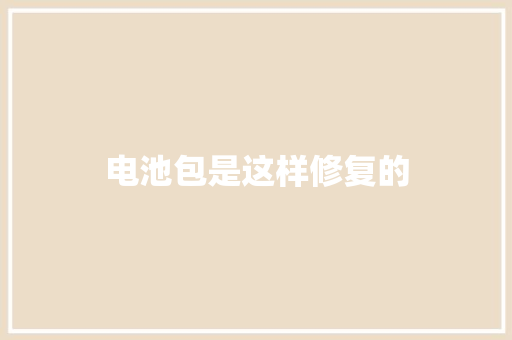 电池包是这样修复的