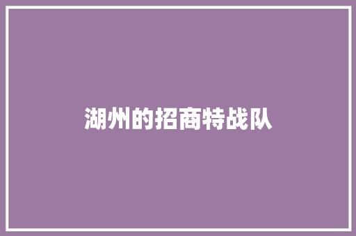 湖州的招商特战队