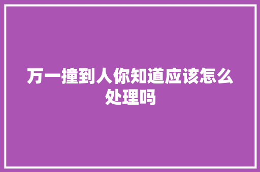 万一撞到人你知道应该怎么处理吗 汽车知识