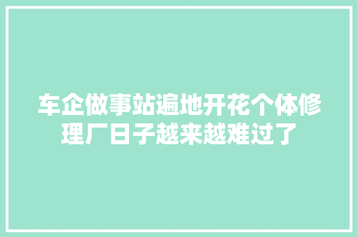 车企做事站遍地开花个体修理厂日子越来越难过了