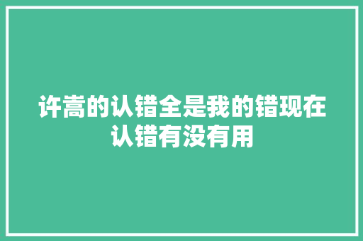 许嵩的认错全是我的错现在认错有没有用