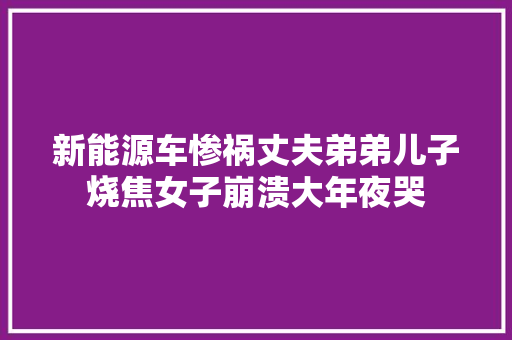 新能源车惨祸丈夫弟弟儿子烧焦女子崩溃大年夜哭