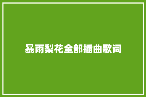 暴雨梨花全部插曲歌词