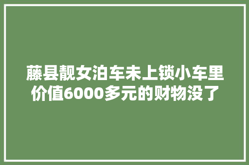 藤县靓女泊车未上锁小车里价值6000多元的财物没了