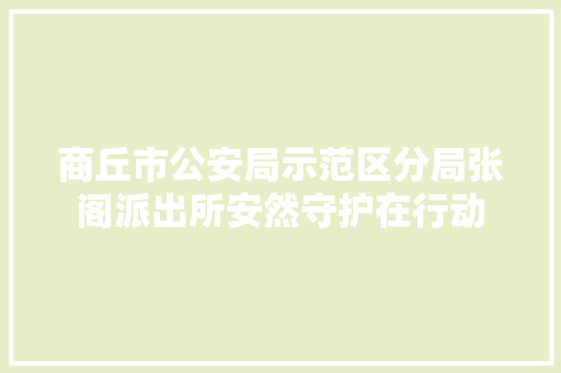 商丘市公安局示范区分局张阁派出所安然守护在行动