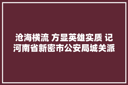 沧海横流 方显英雄实质 记河南省新密市公安局城关派出所副所长杨旭恒