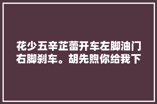 花少五辛芷蕾开车左脚油门右脚刹车。胡先煦你给我下来