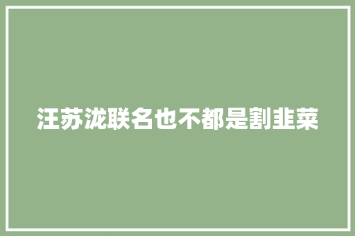 汪苏泷联名也不都是割韭菜
