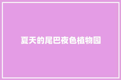 夏天的尾巴夜色植物园