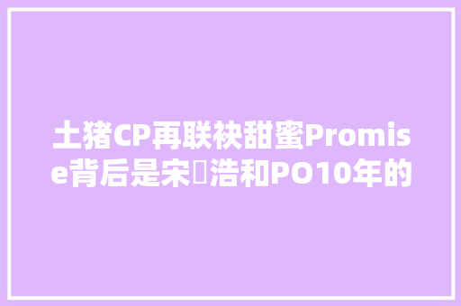 土猪CP再联袂甜蜜Promise背后是宋旻浩和PO10年的苦与泪