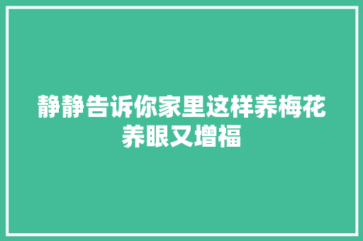静静告诉你家里这样养梅花养眼又增福