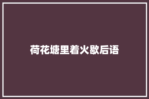 荷花塘里着火歇后语