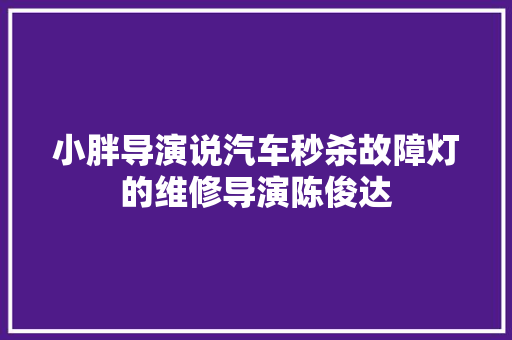 小胖导演说汽车秒杀故障灯的维修导演陈俊达