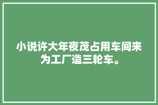 小说许大年夜茂占用车间来为工厂造三轮车。
