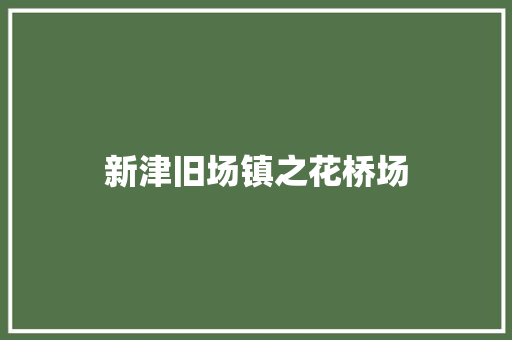 新津旧场镇之花桥场