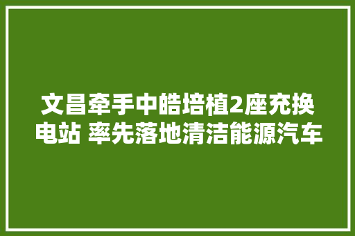 文昌牵手中皓培植2座充换电站 率先落地清洁能源汽车根本举动办法