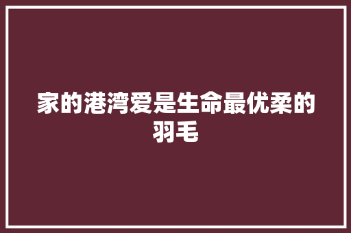 家的港湾爱是生命最优柔的羽毛