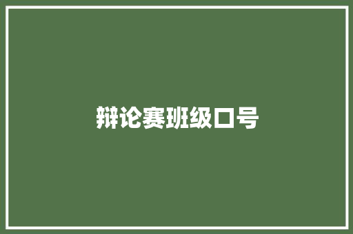 辩论赛班级口号