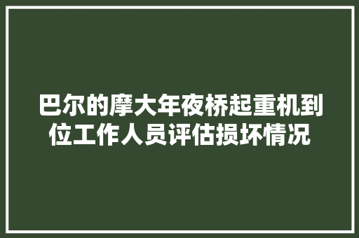 巴尔的摩大年夜桥起重机到位工作人员评估损坏情况