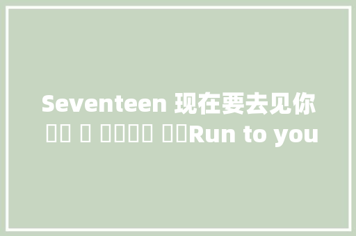 Seventeen 现在要去见你 지금 널 찾아가고 있어Run to you