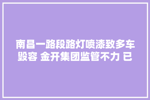 南昌一路段路灯喷漆致多车毁容 金开集团监管不力 已成立轇轕处理小组