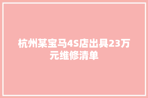 杭州某宝马4S店出具23万元维修清单