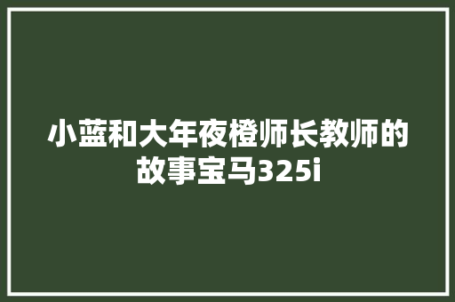 小蓝和大年夜橙师长教师的故事宝马325i