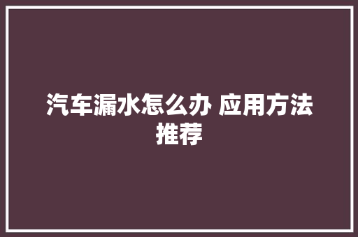 汽车漏水怎么办 应用方法推荐