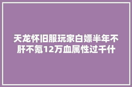 天龙怀旧服玩家白嫖半年不肝不氪12万血属性过千什么水平