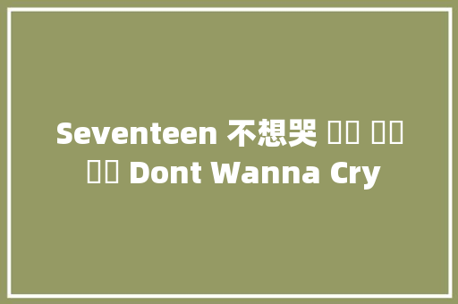 Seventeen 不想哭 울고 싶지 않아 Dont Wanna Cry