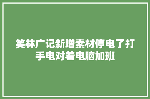 笑林广记新增素材停电了打手电对着电脑加班