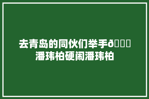 去青岛的同伙们举手🙌潘玮柏硬闹潘玮柏