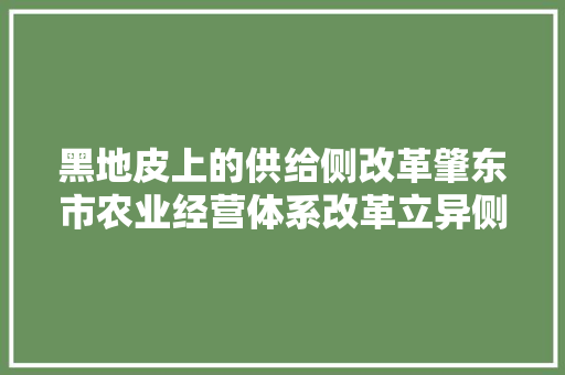 黑地皮上的供给侧改革肇东市农业经营体系改革立异侧记