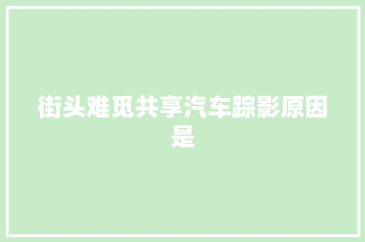 街头难觅共享汽车踪影原因是