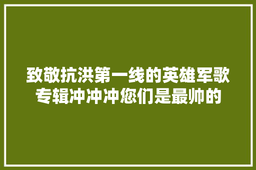 致敬抗洪第一线的英雄军歌专辑冲冲冲您们是最帅的