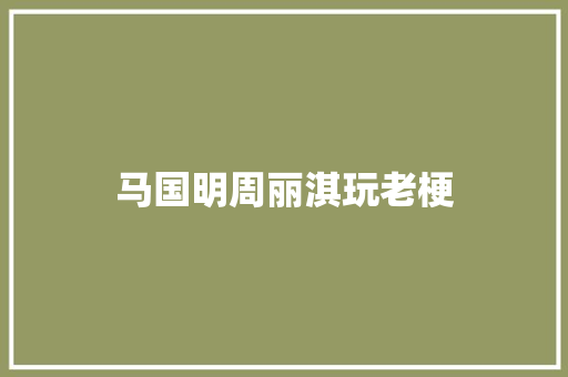马国明周丽淇玩老梗