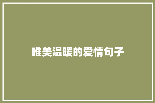 唯美温暖的爱情句子
