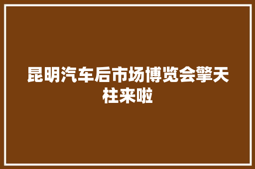 昆明汽车后市场博览会擎天柱来啦