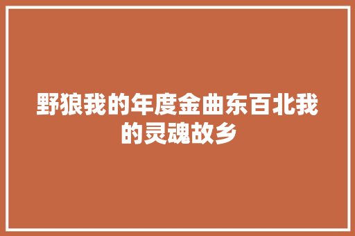 野狼我的年度金曲东百北我的灵魂故乡