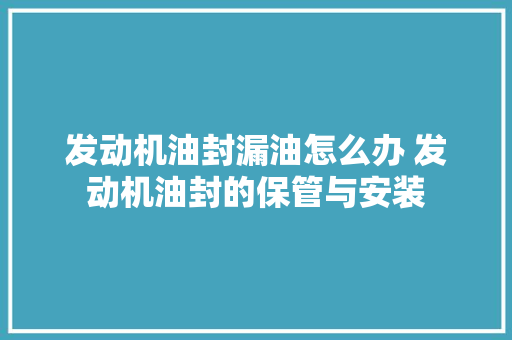 发动机油封漏油怎么办 发动机油封的保管与安装