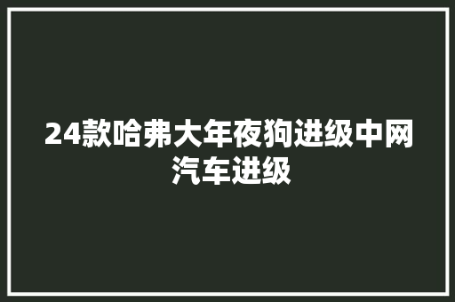 24款哈弗大年夜狗进级中网 汽车进级