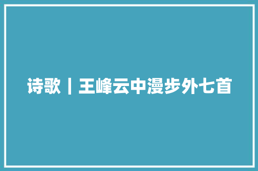 诗歌｜王峰云中漫步外七首