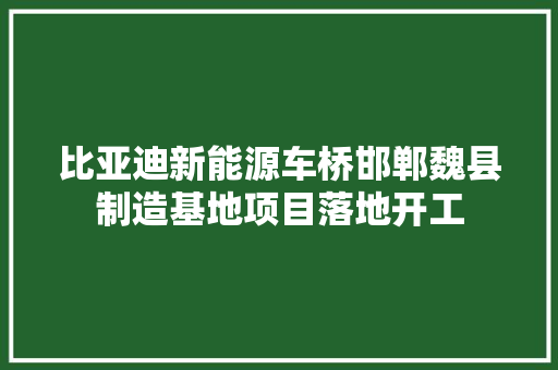 比亚迪新能源车桥邯郸魏县制造基地项目落地开工