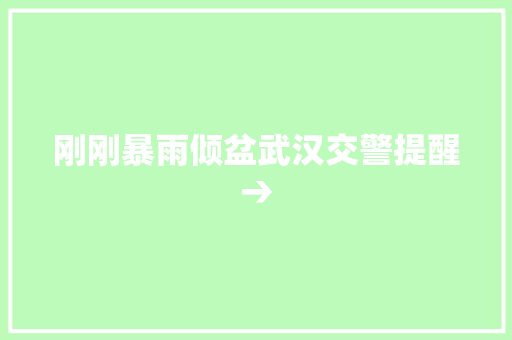 刚刚暴雨倾盆武汉交警提醒→ 汽车知识