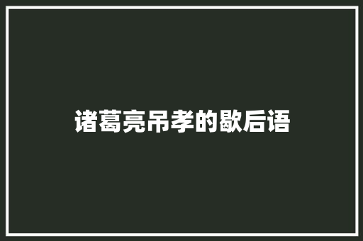 诸葛亮吊孝的歇后语