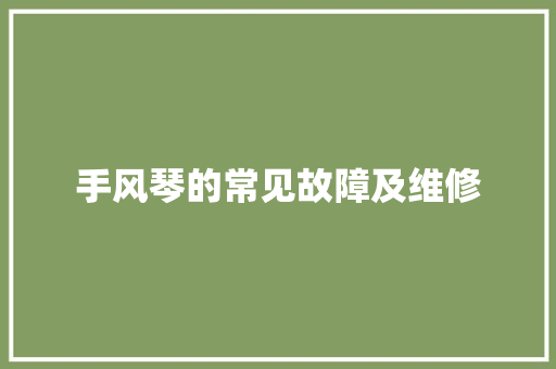 手风琴的常见故障及维修